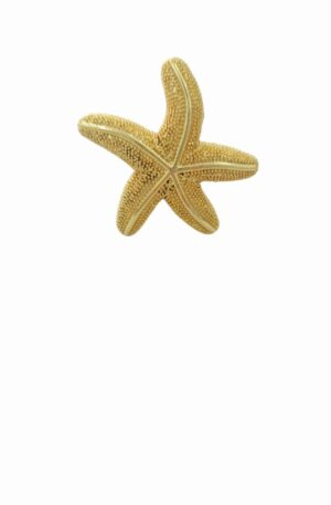 Anello regolabile stella in ottone dorato realizzato artigianalmente. Spedizione Gratuita